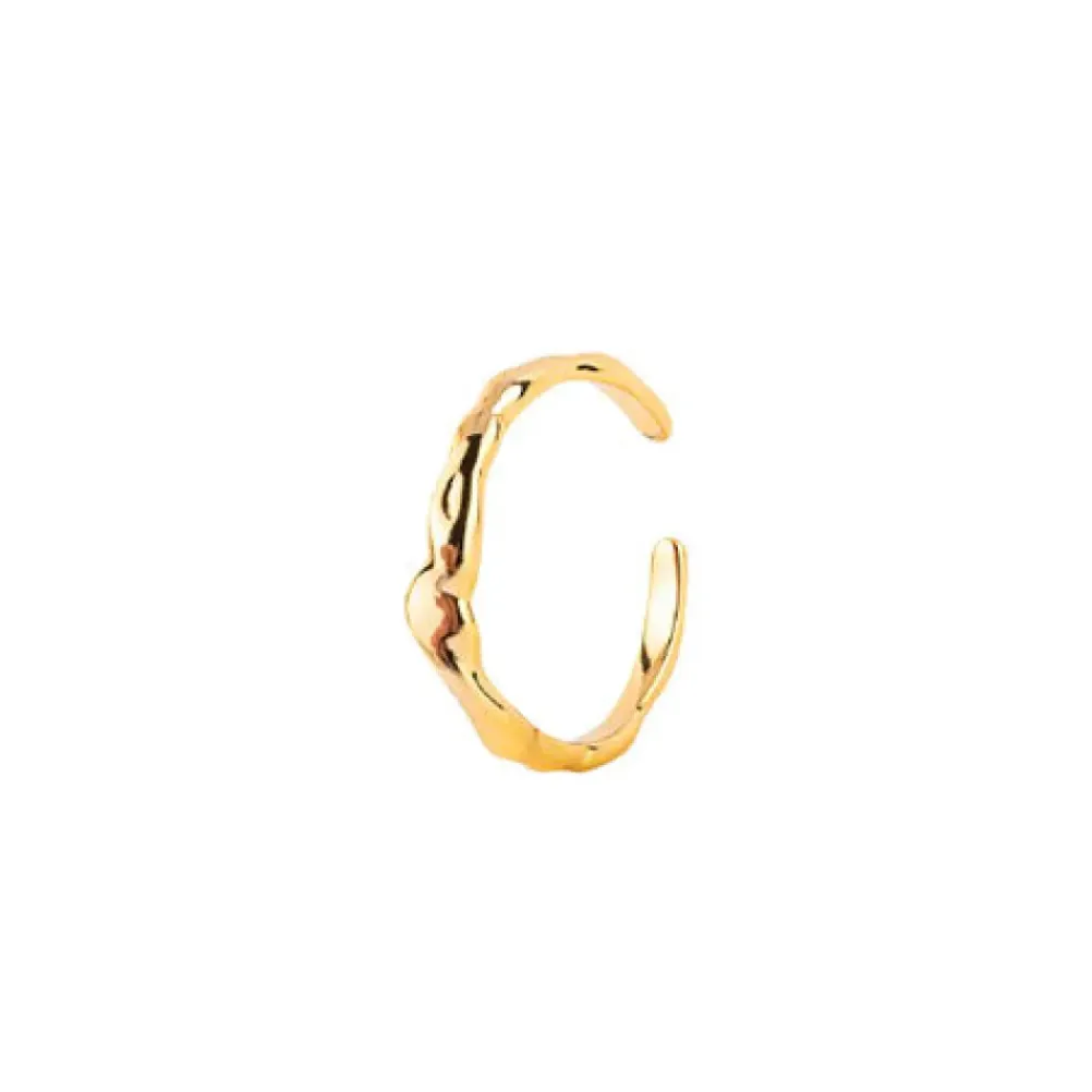HOUSE OF VINCENT Manifestation Ring